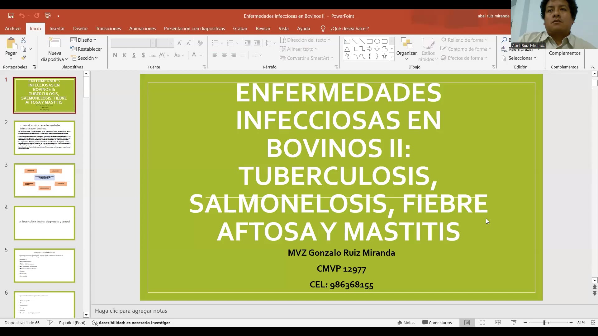 Enfermedades infecciosas en bovinos II